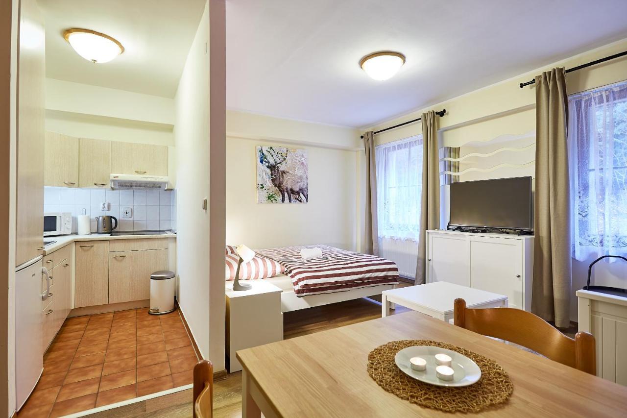 Lanovka Appartement Jáchymov Buitenkant foto